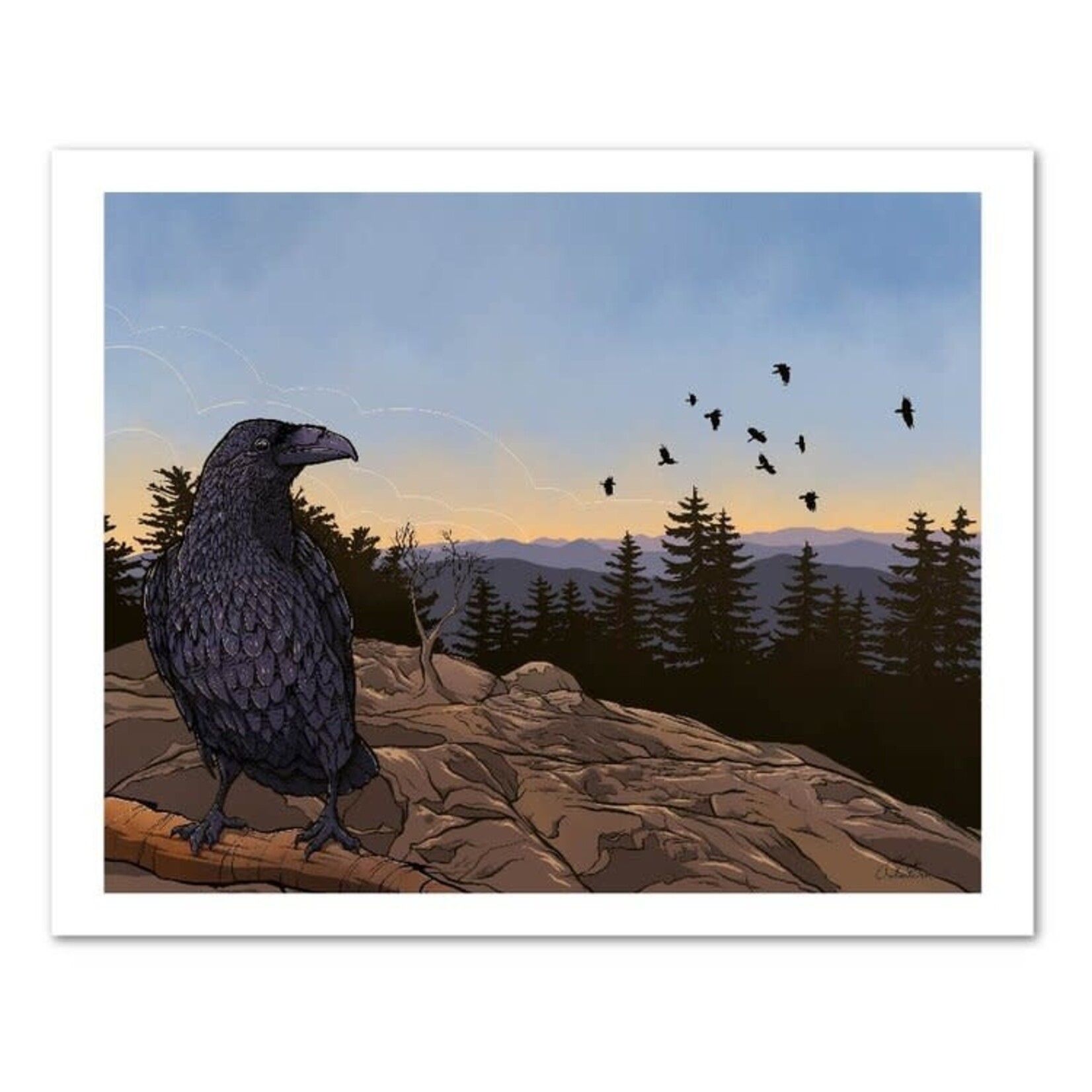 Claire Watson Raven Print 11 x 14