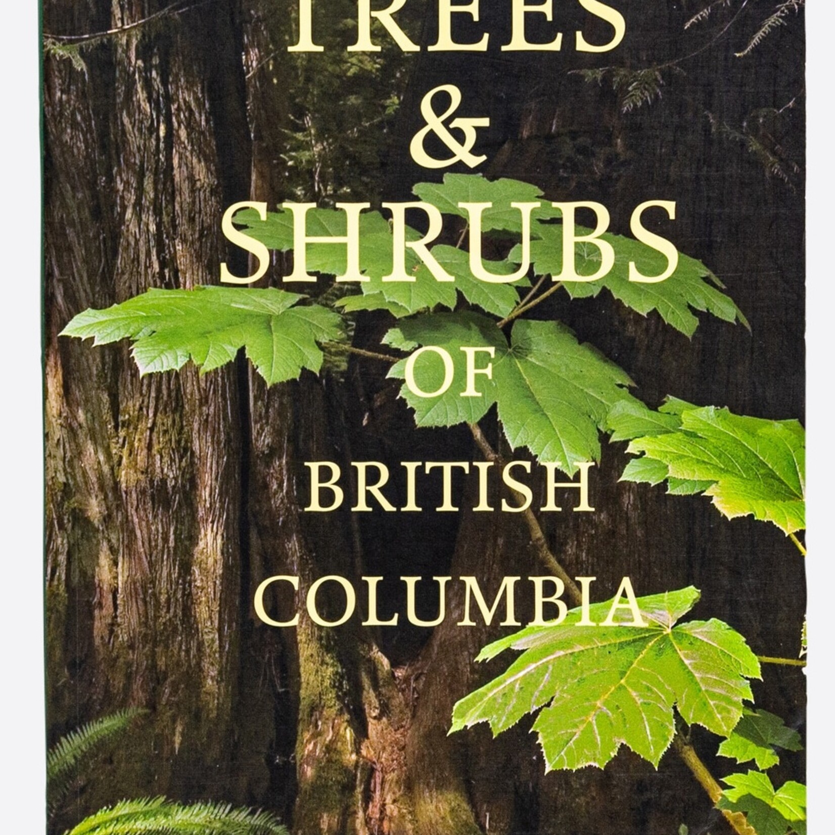 Ampersand Trees and Shrubs of BC