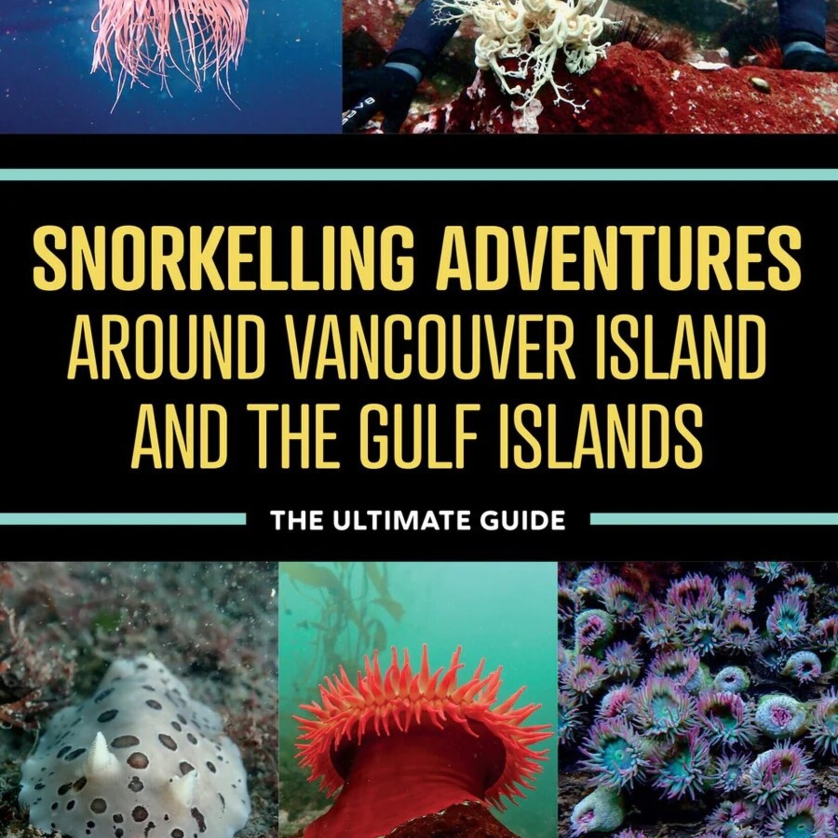 Harbour Publishing Snorkelling Vancouver Island