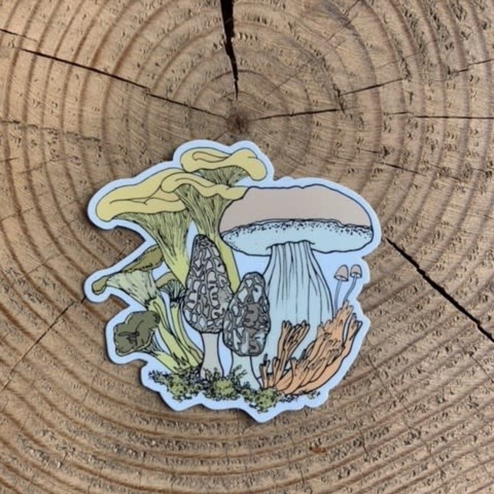 Wild Life Chanterelle Mushroom Sticker