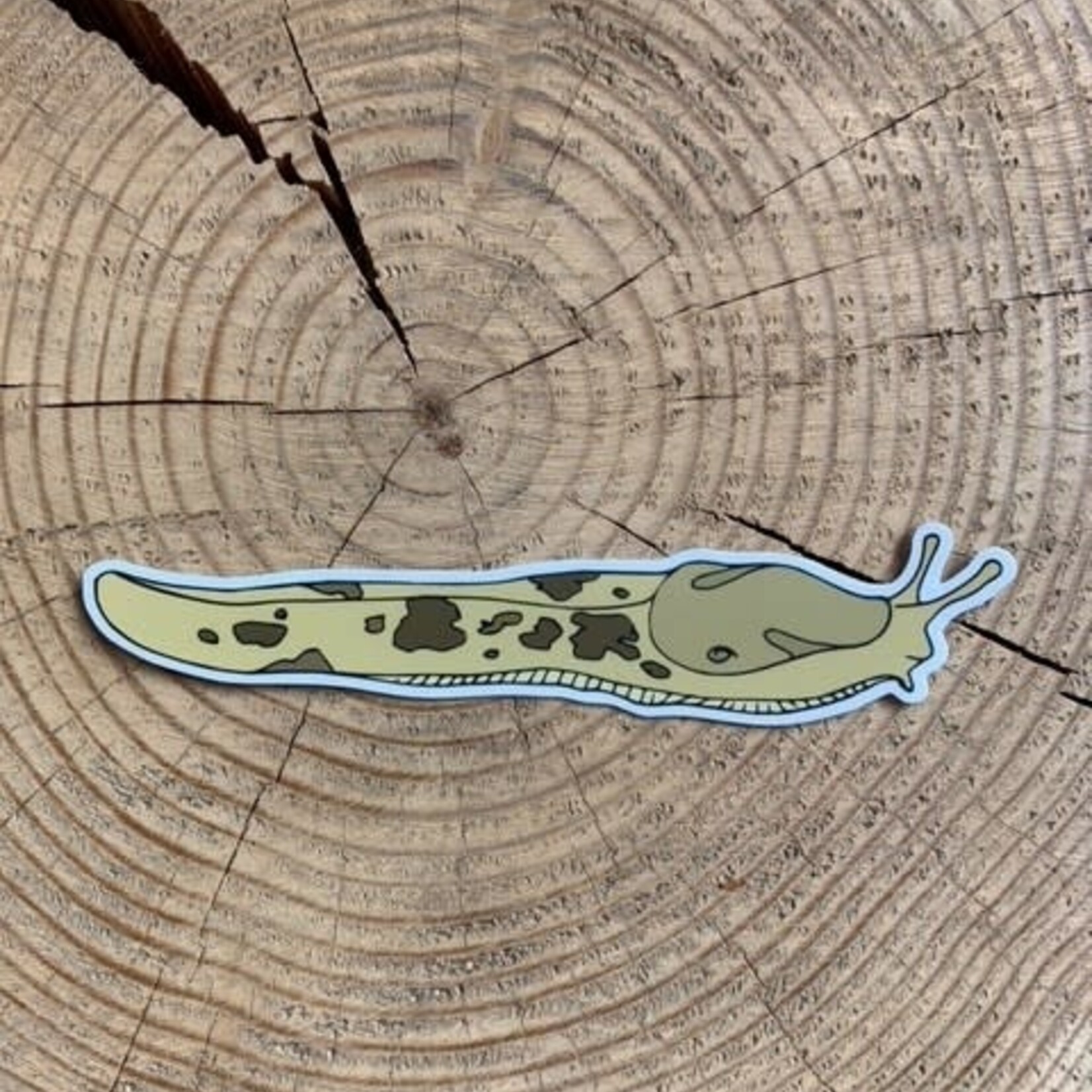 Wild Life Large Slug Sticker