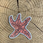 Wild Life Orange Sea Star Sticker