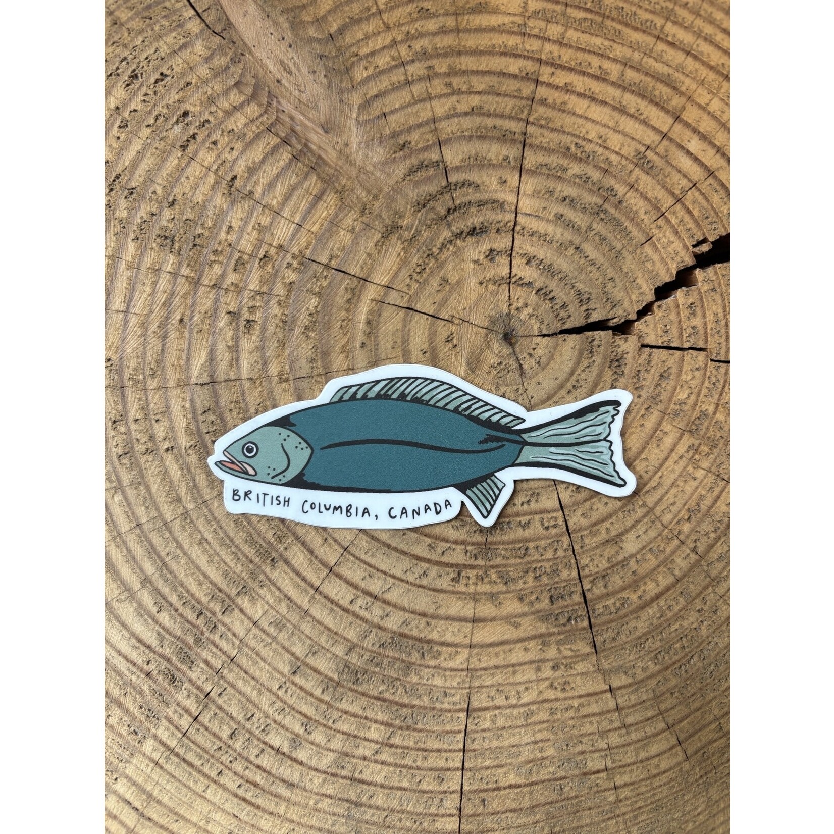 Wavy Baby BC Fish Sticker