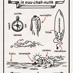 mułaa mulaa rising tide surf language postcard