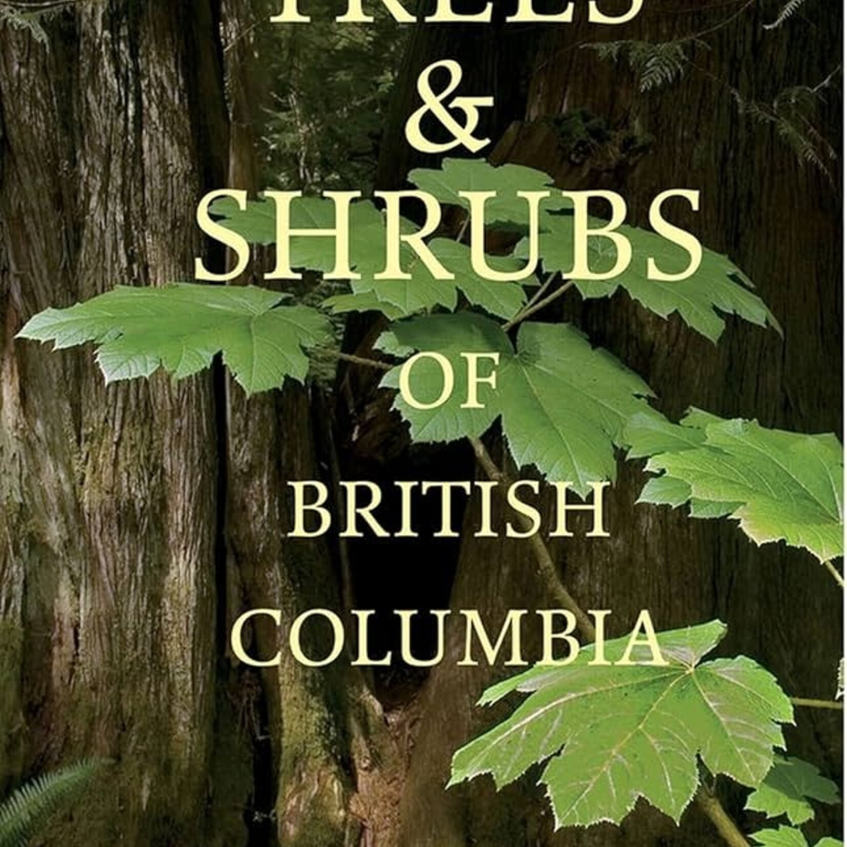 Ampersand Trees and Shrubs of BC
