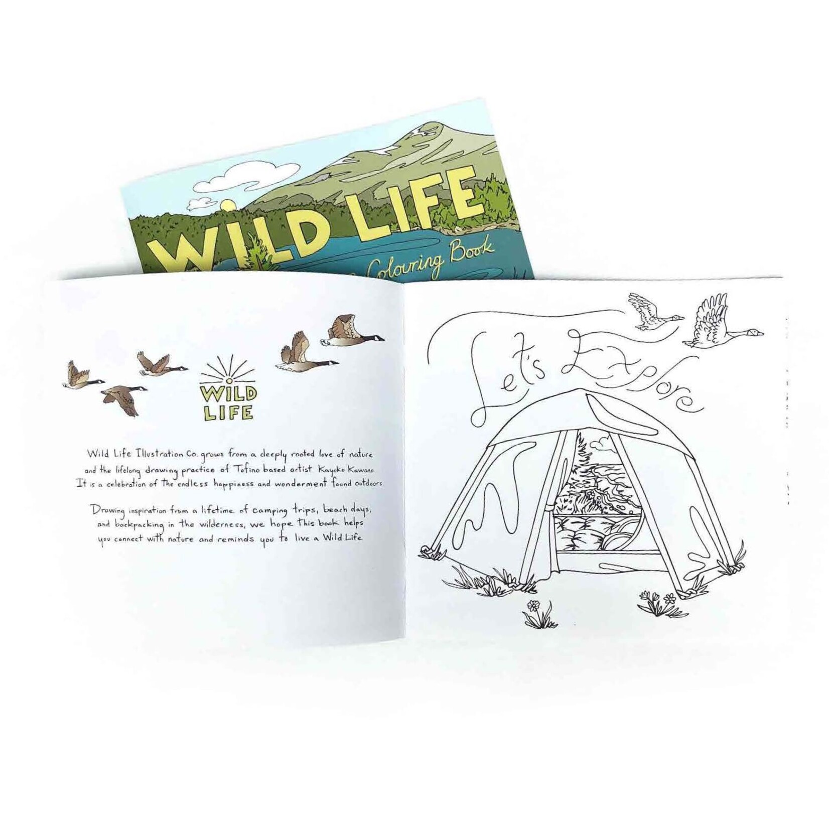 Wild Life Camp Colouring Book