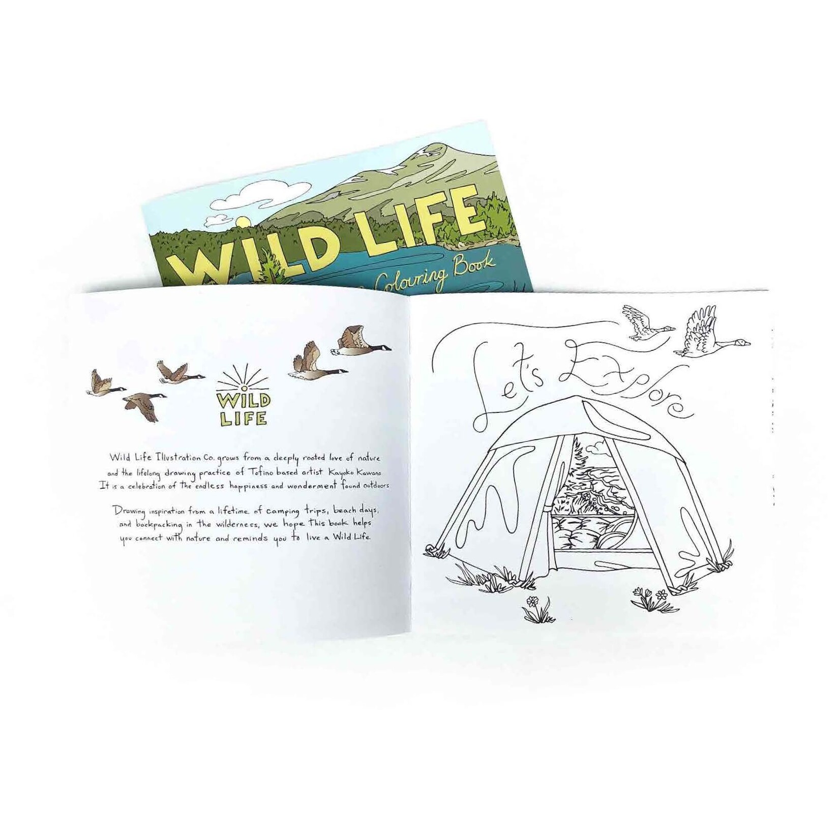 Wild Life Camp Colouring Book