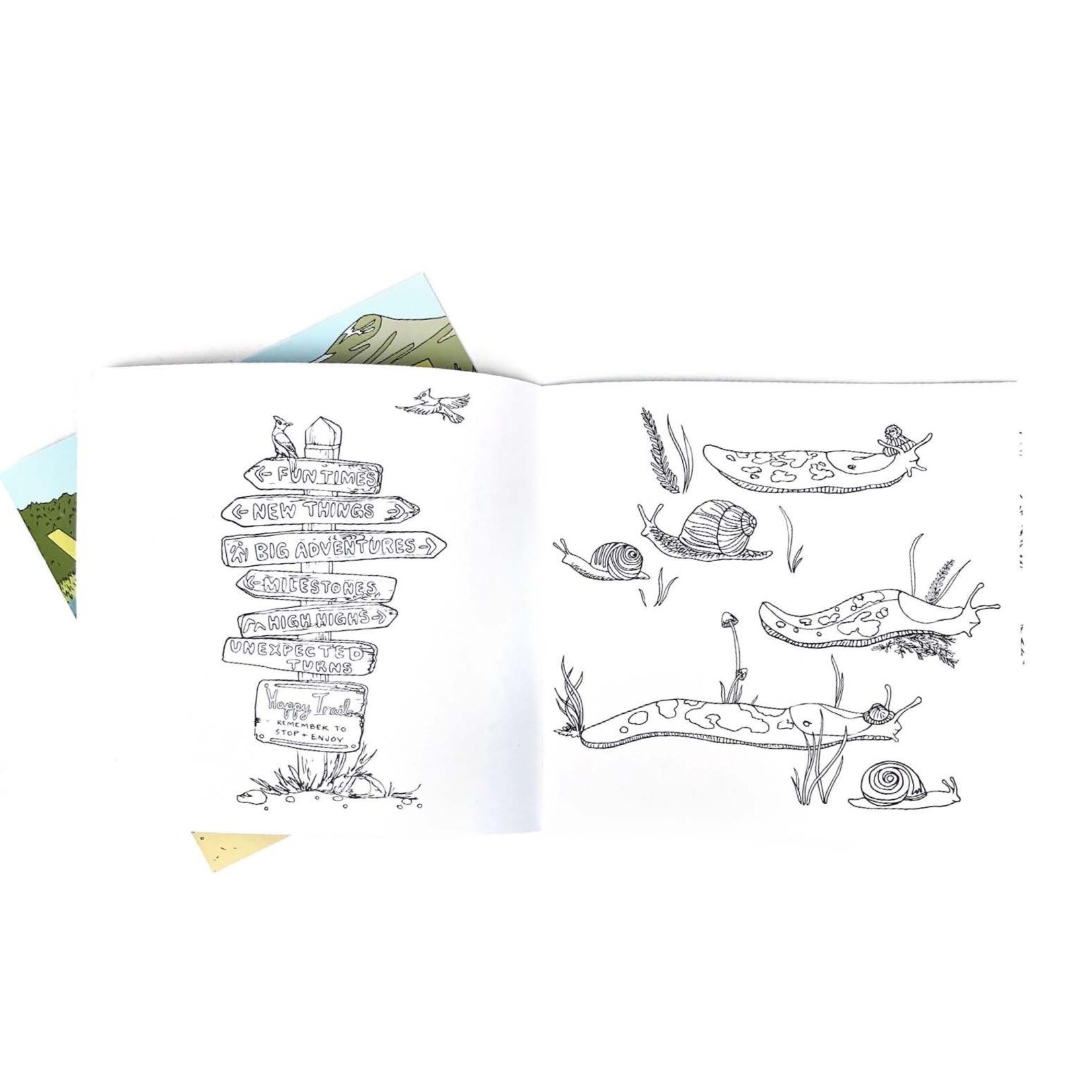 Wild Life Camp Colouring Book