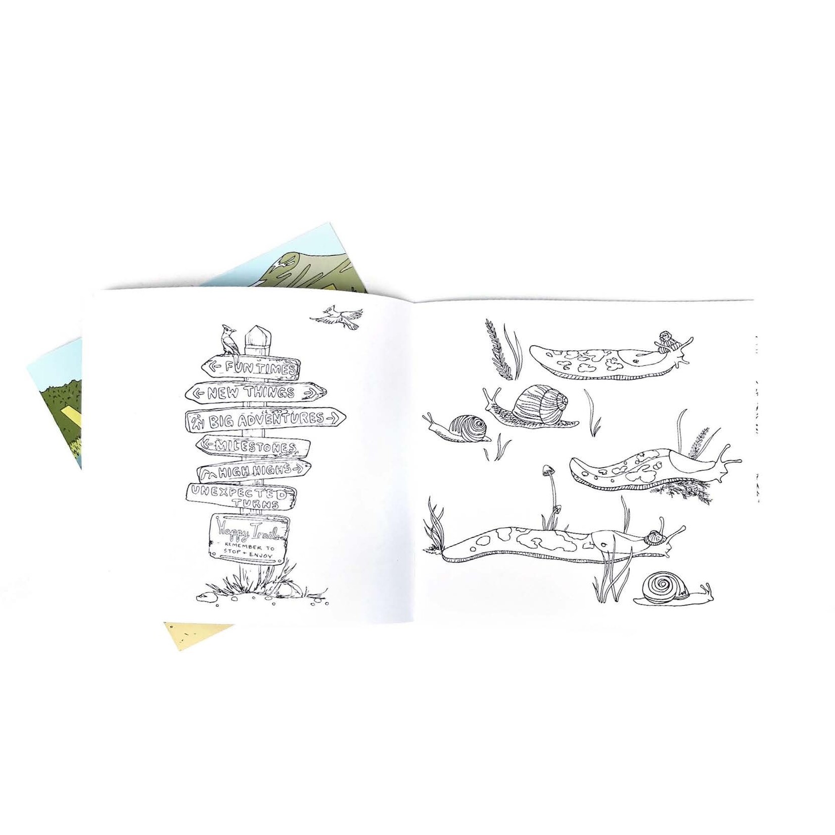 Wild Life Camp Colouring Book