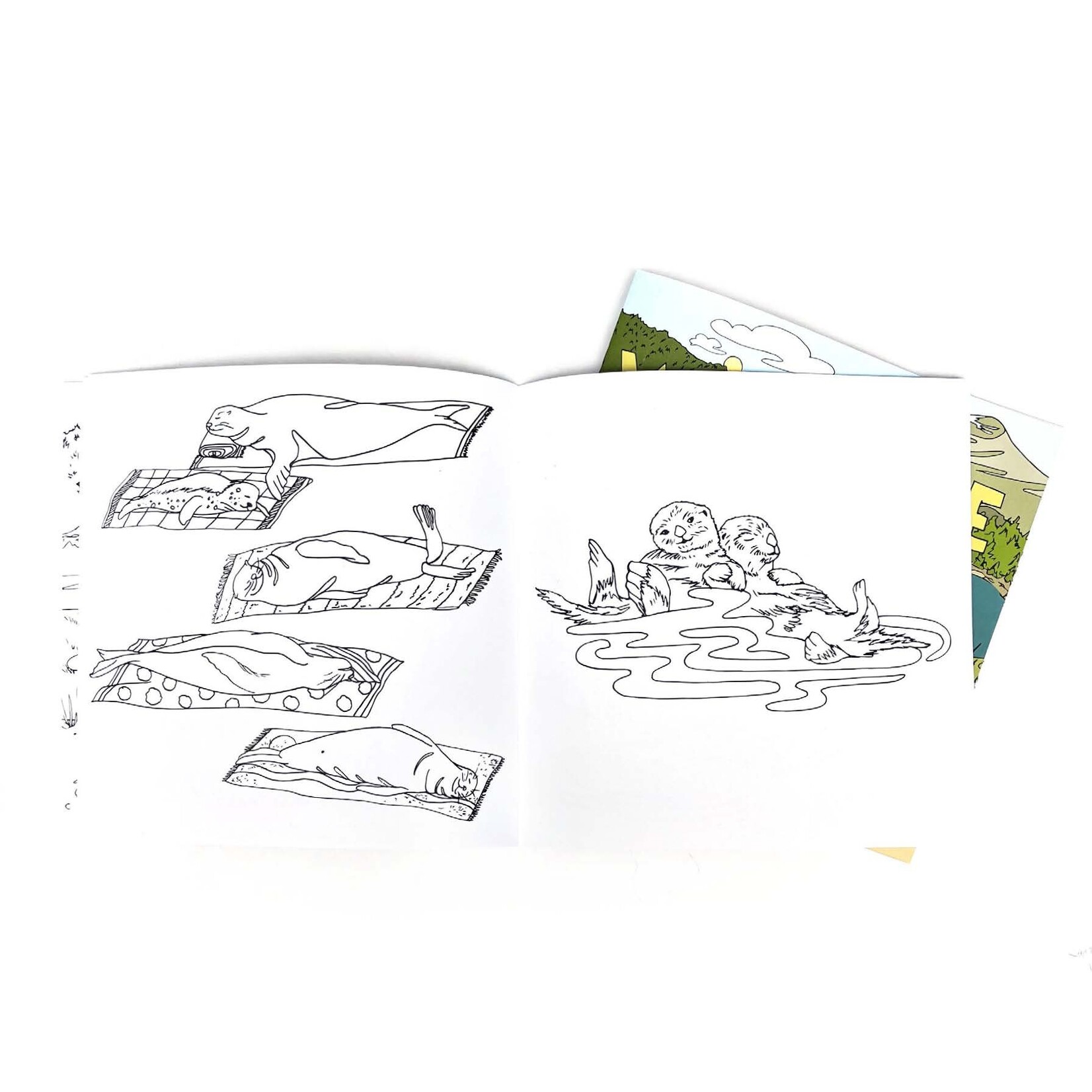 Wild Life Camp Colouring Book