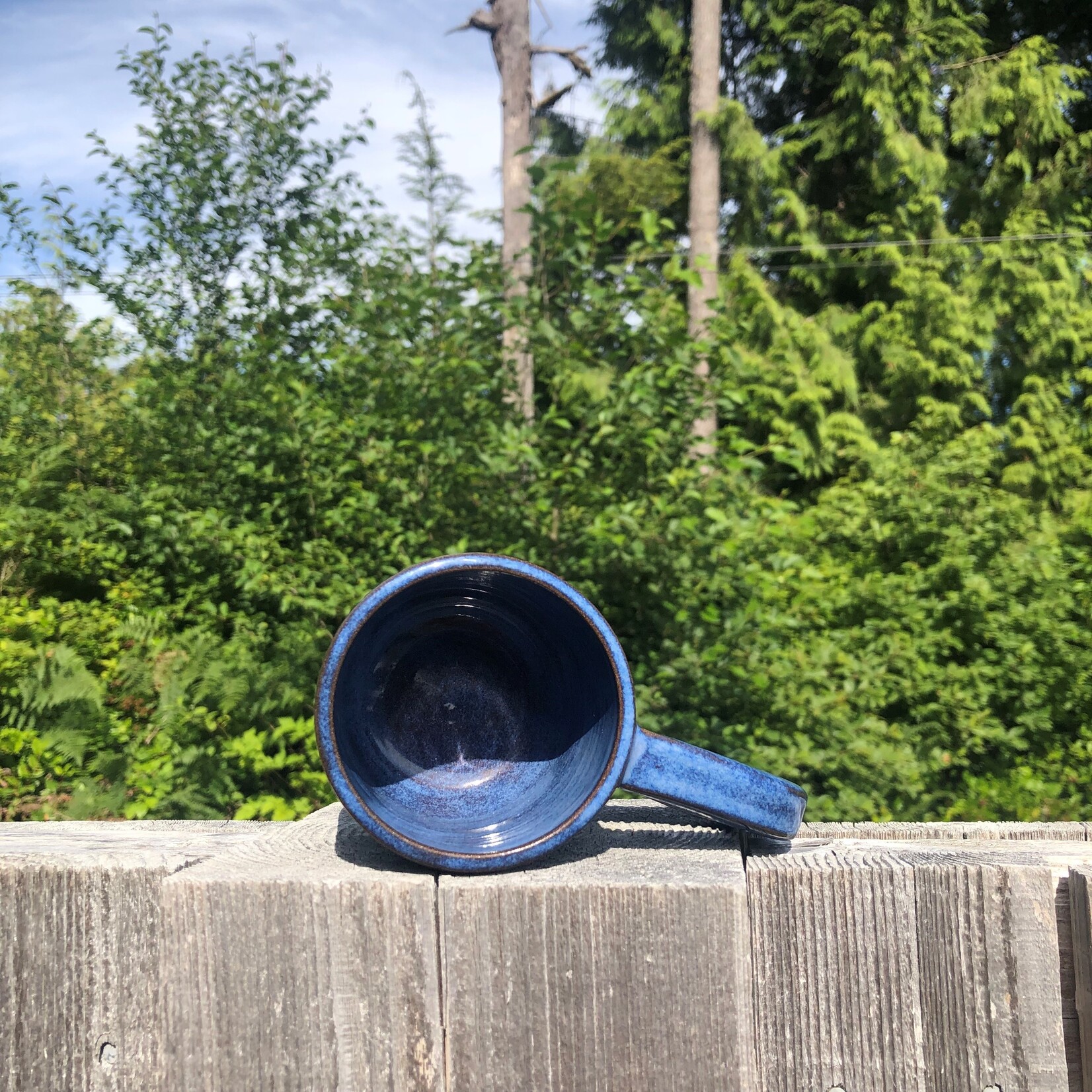 Surfrider Pacific Rim ceramic  mug blue