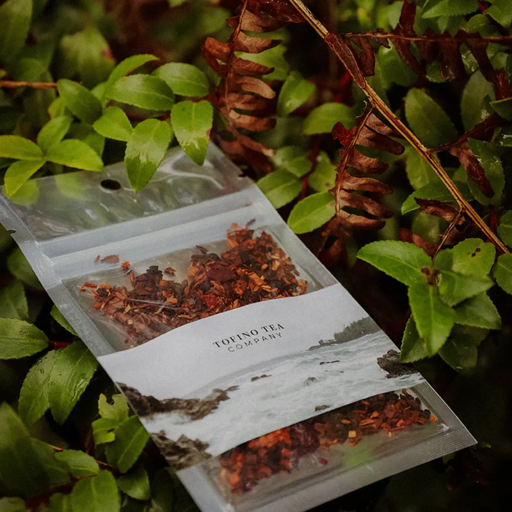 Tofino Tea Company Sweet Berry 10g Sampler