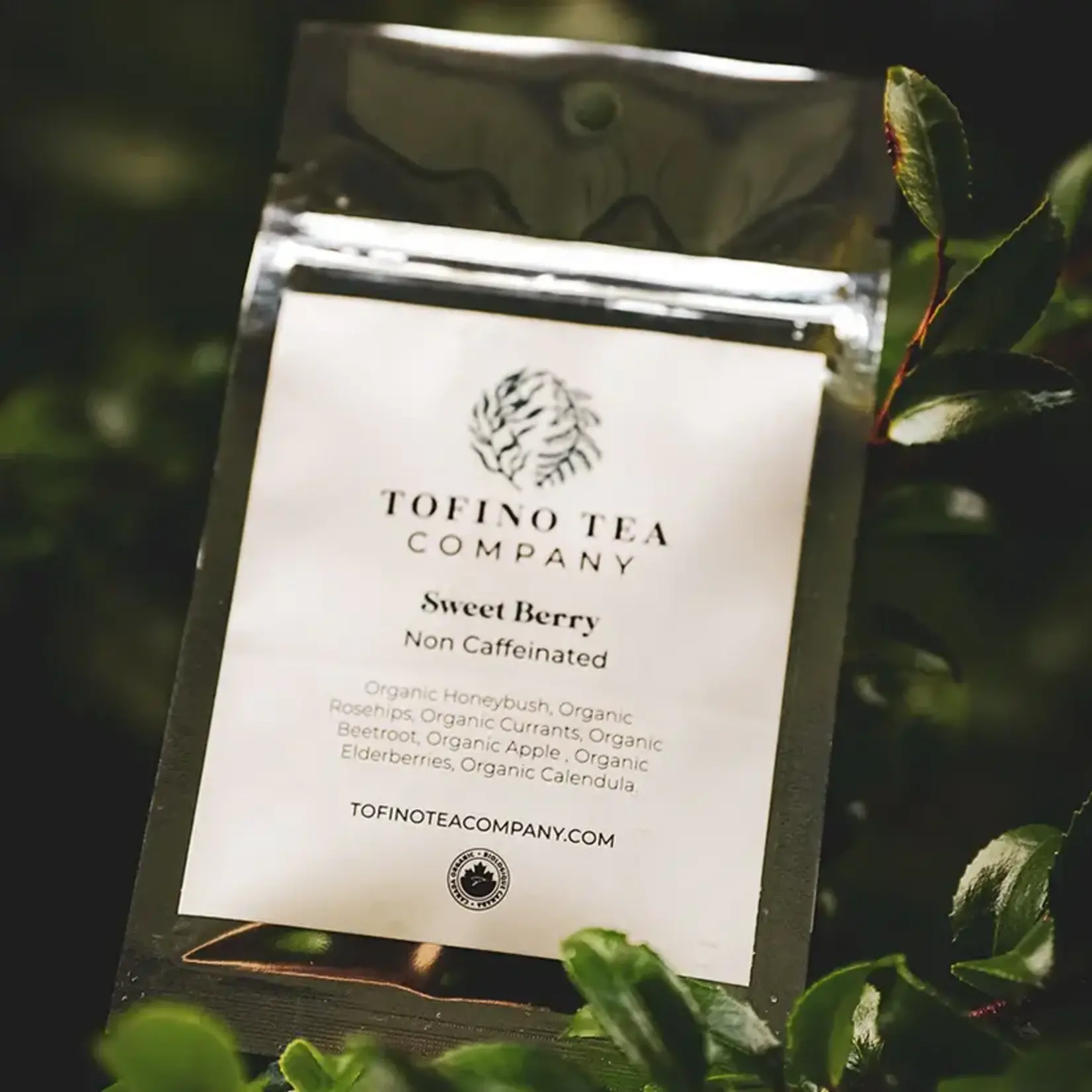 Tofino Tea Company Sweet Berry 10g Sampler