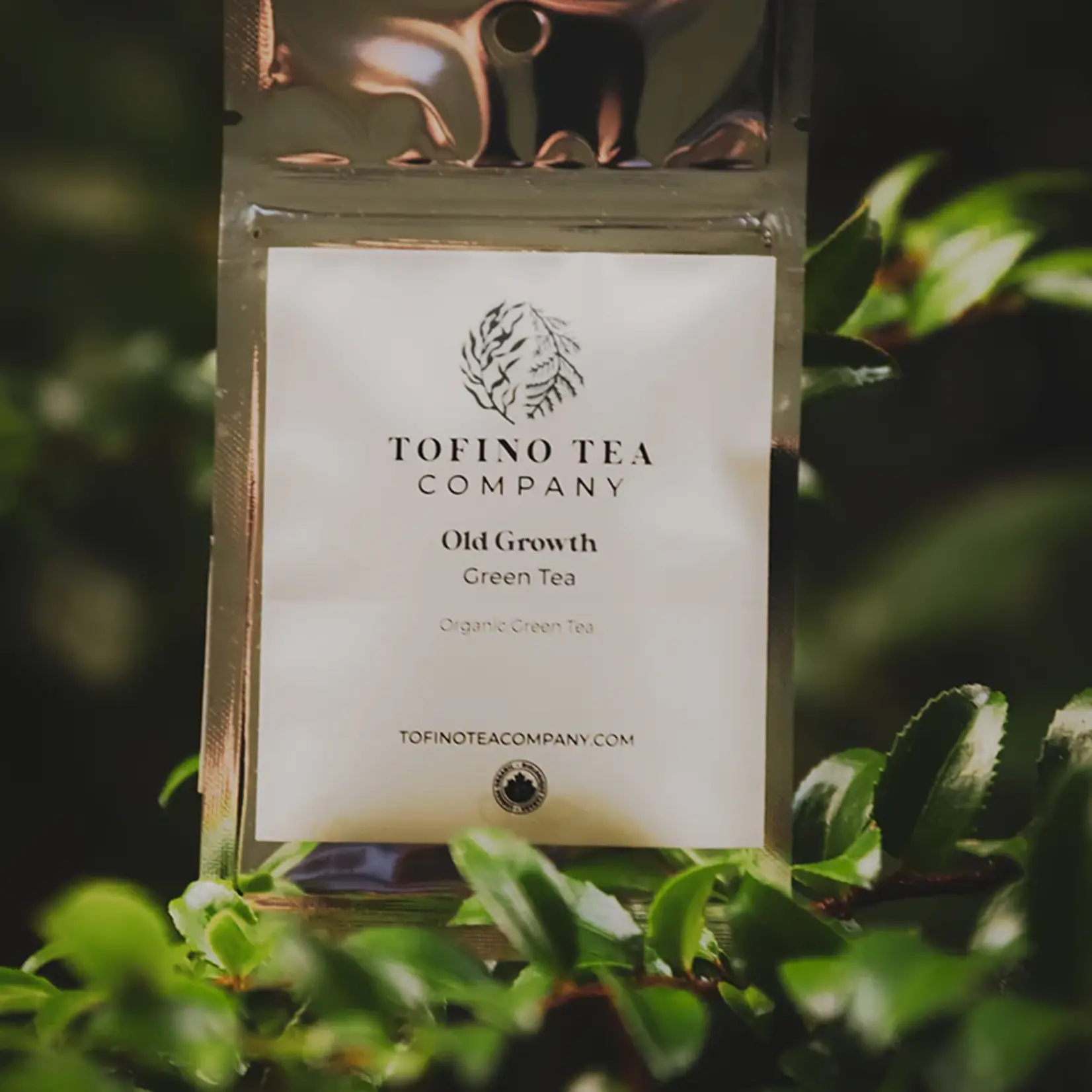 Tofino Tea Company Old Growth 75g