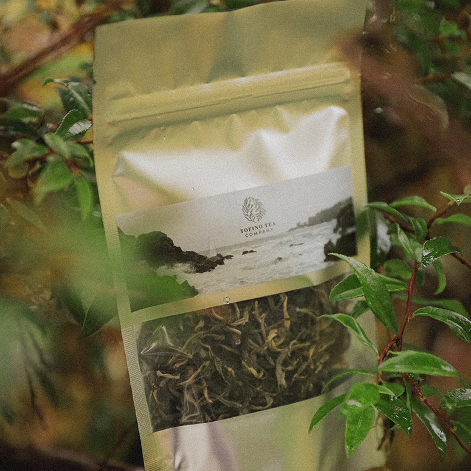 Tofino Tea Company Old Growth 75g