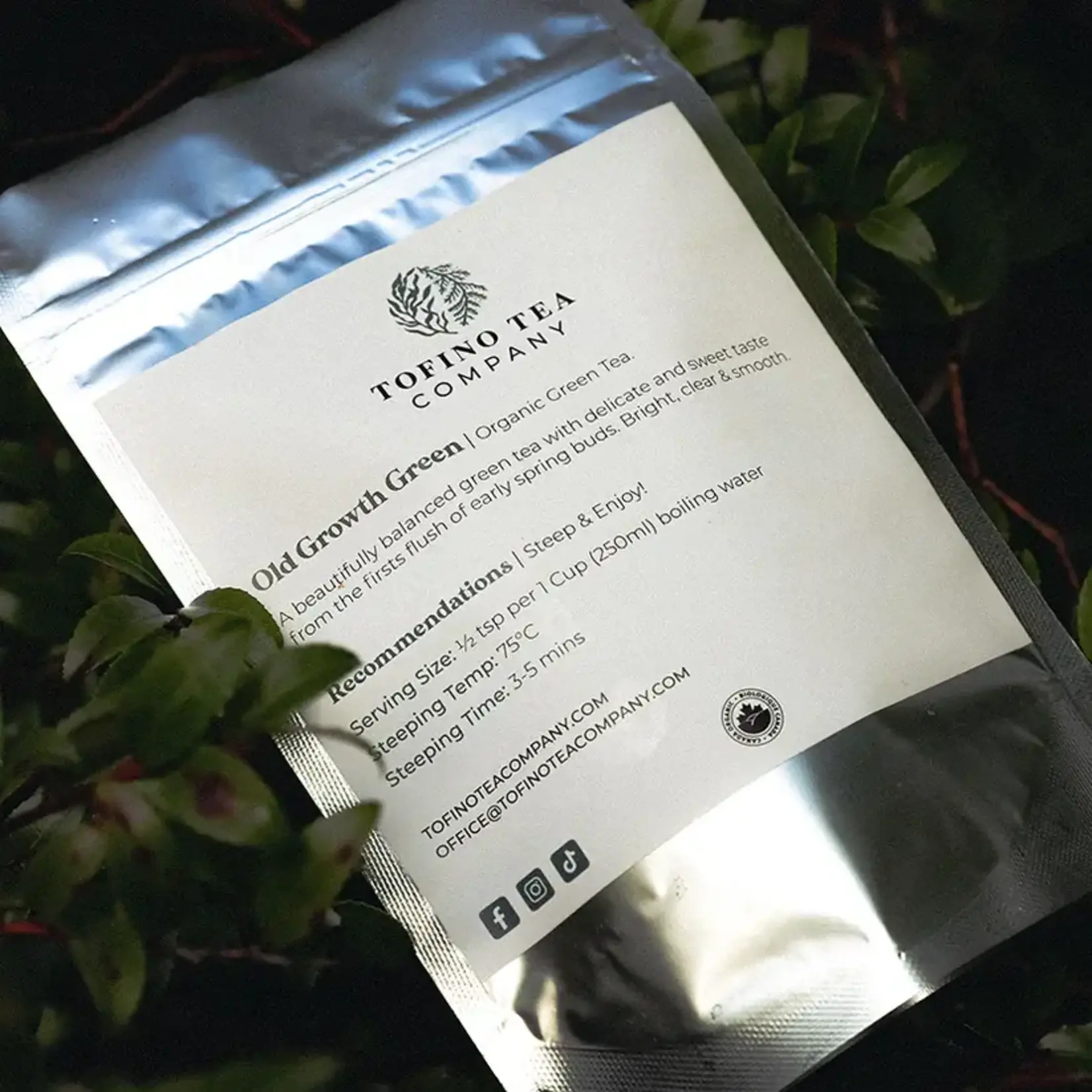 Tofino Tea Company Old Growth 75g