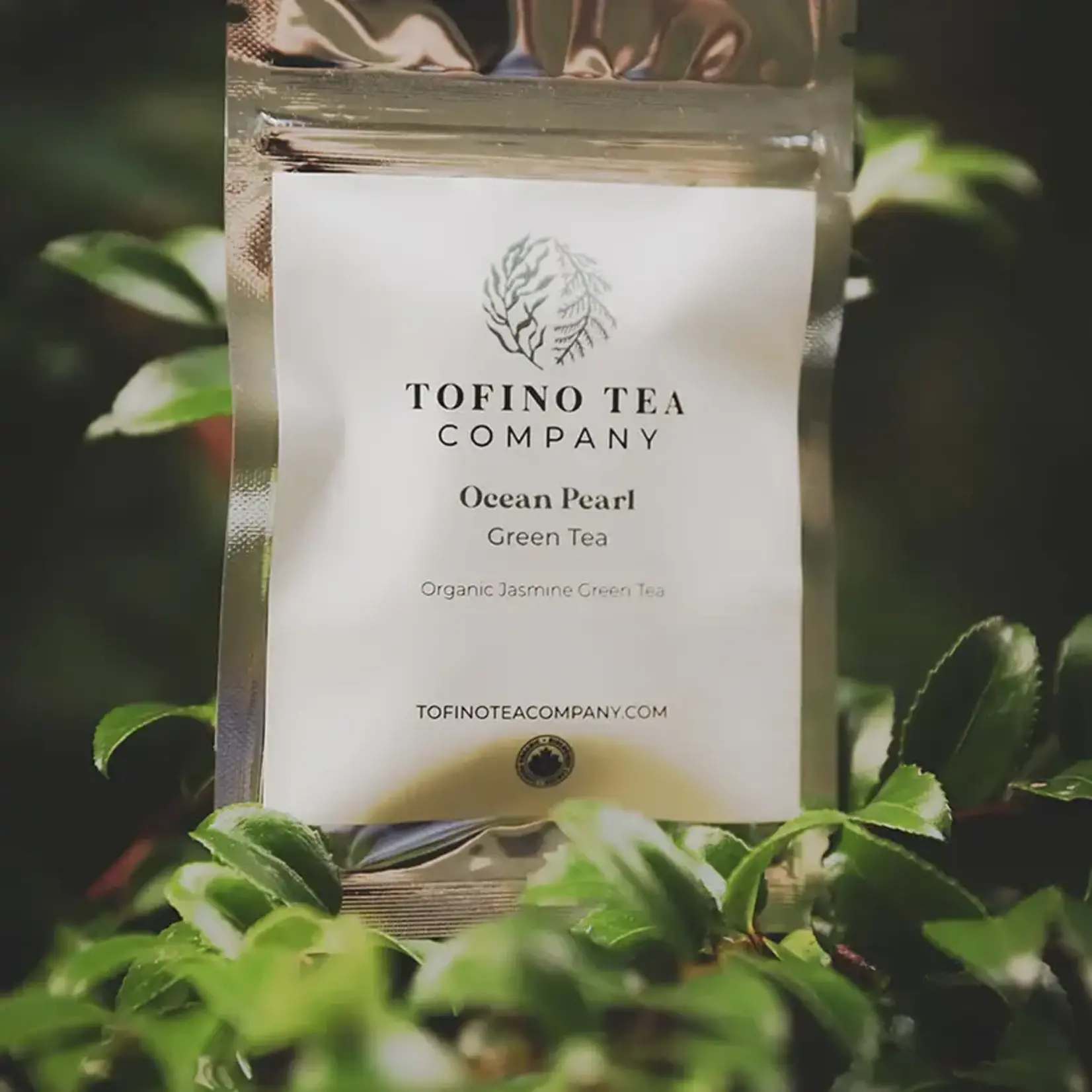 Tofino Tea Company Ocean Pearl 10g Sampler