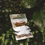 Tofino Tea Company Tofino Love 75g