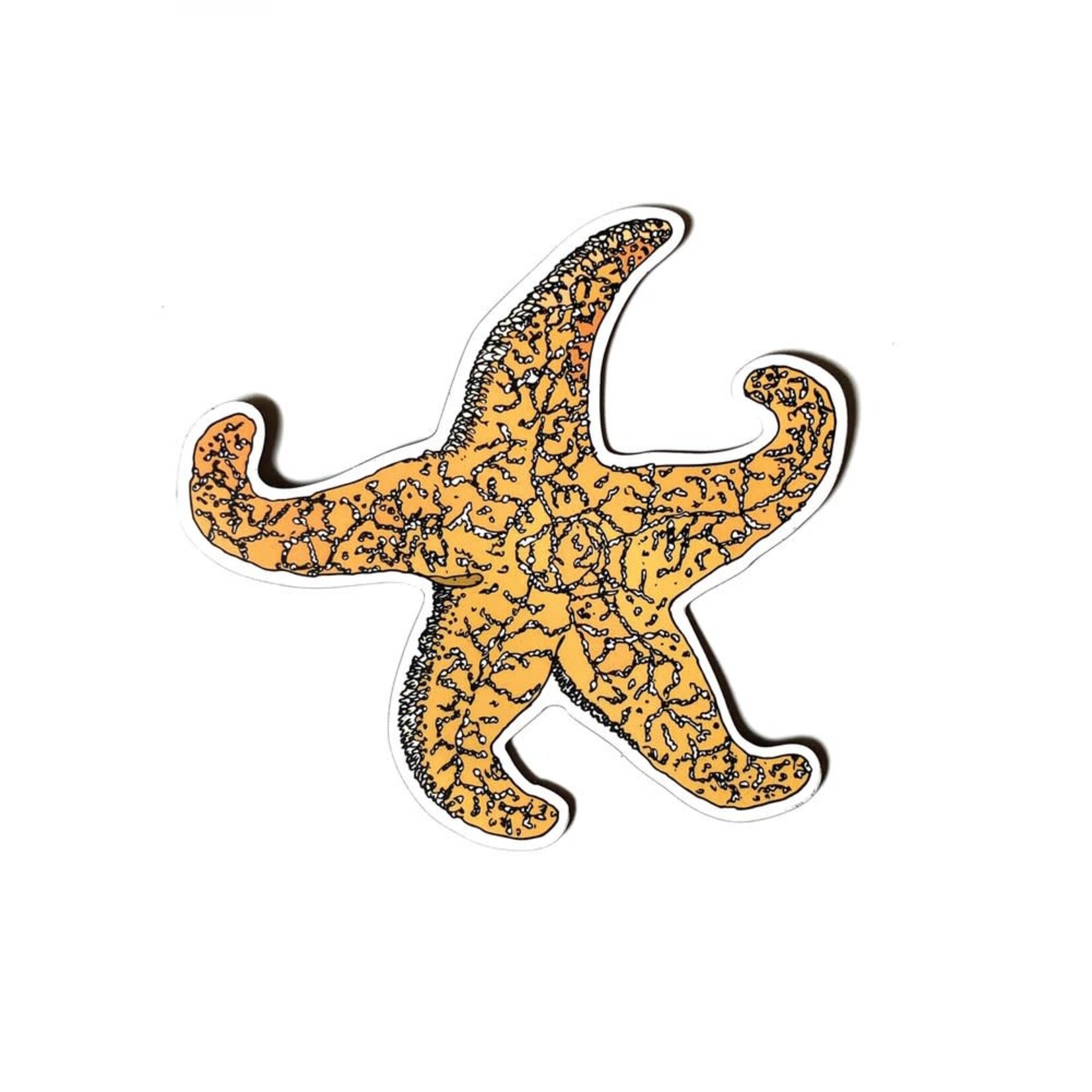Wild Life Magnet Orange Starfish Wild Life