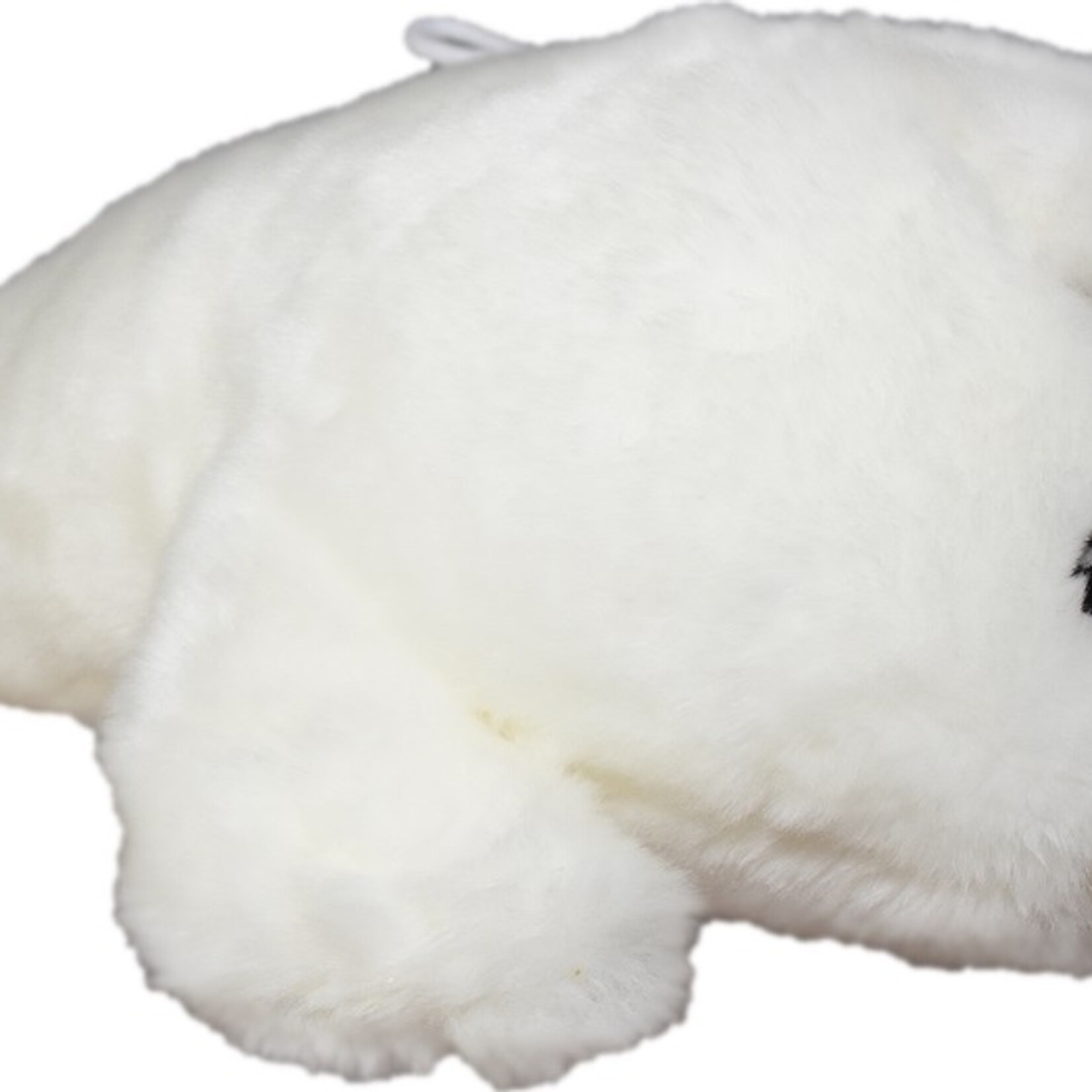 Ocean Wise Stuffy seal harp Baby 16"