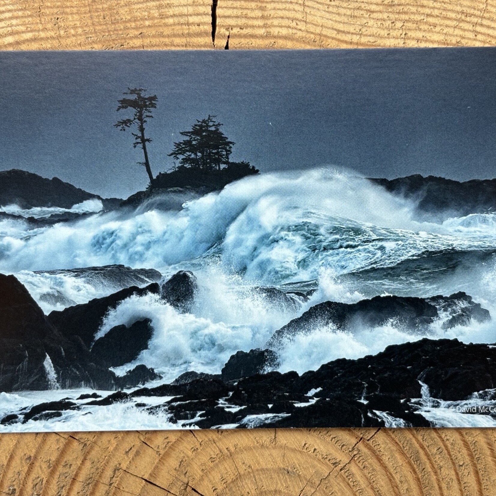 David McColm Amphitrite's Wrath Postcard