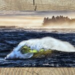 David McColm Emerald Coast Postcard