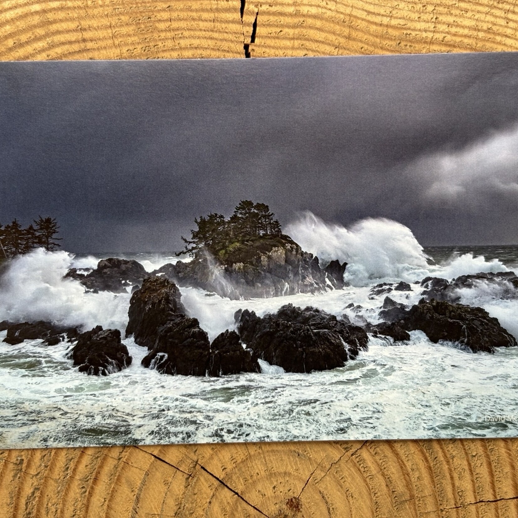 David McColm Zephyrus Awakens Postcard