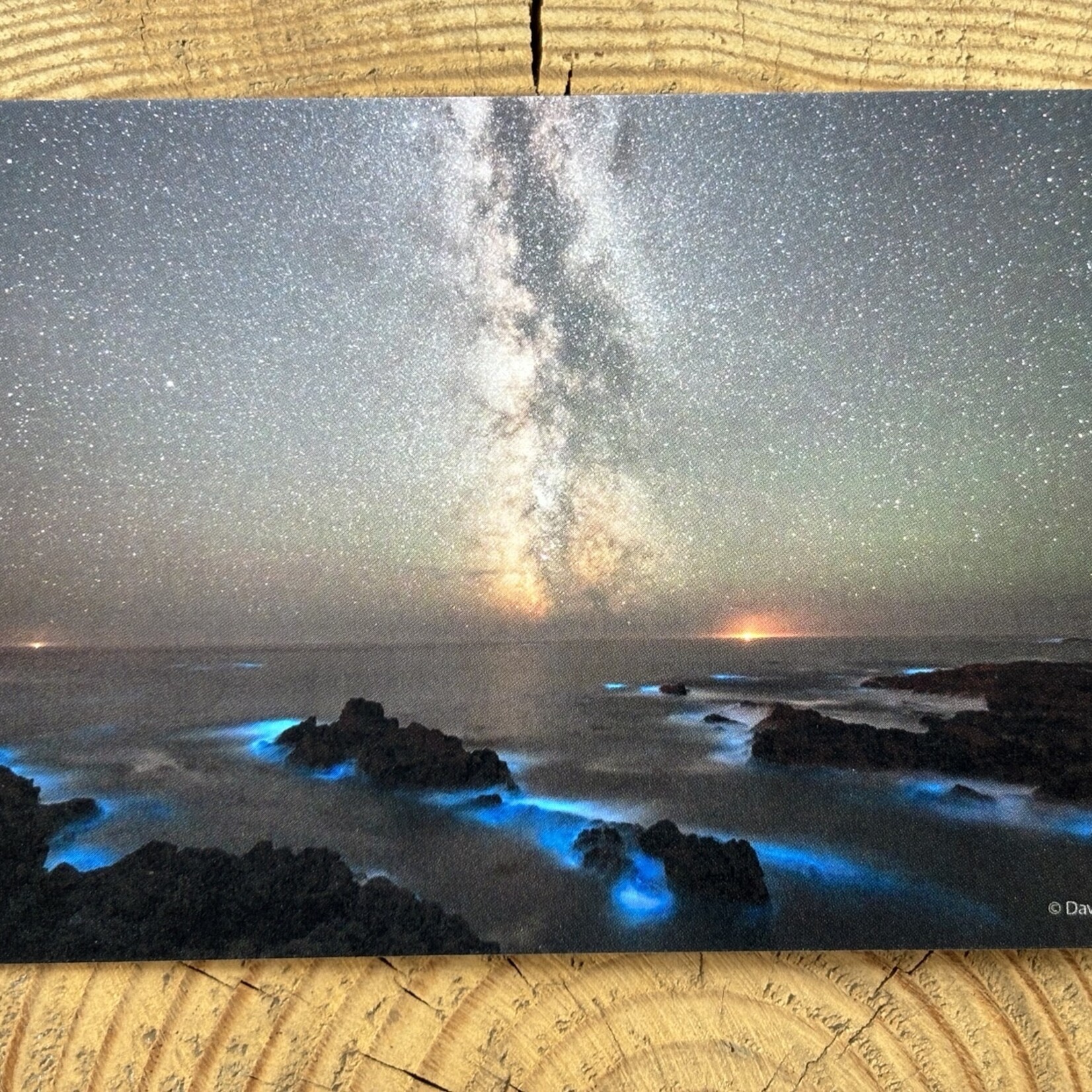 David McColm A Bioluminescent Night Postcard
