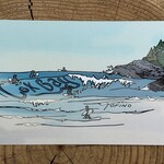 Wild Life Postcard Cox Bay Wild Life