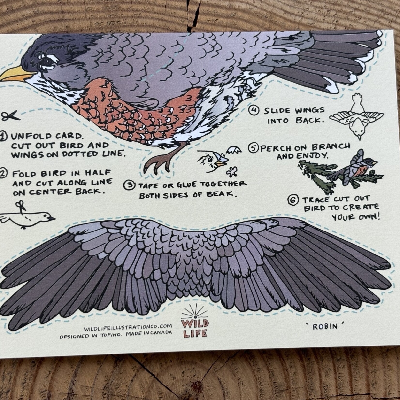 Wild Life Cut & Fold Robin Card Wild Life