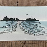 Wild Life Postcard Chesterman Beach Wild Life