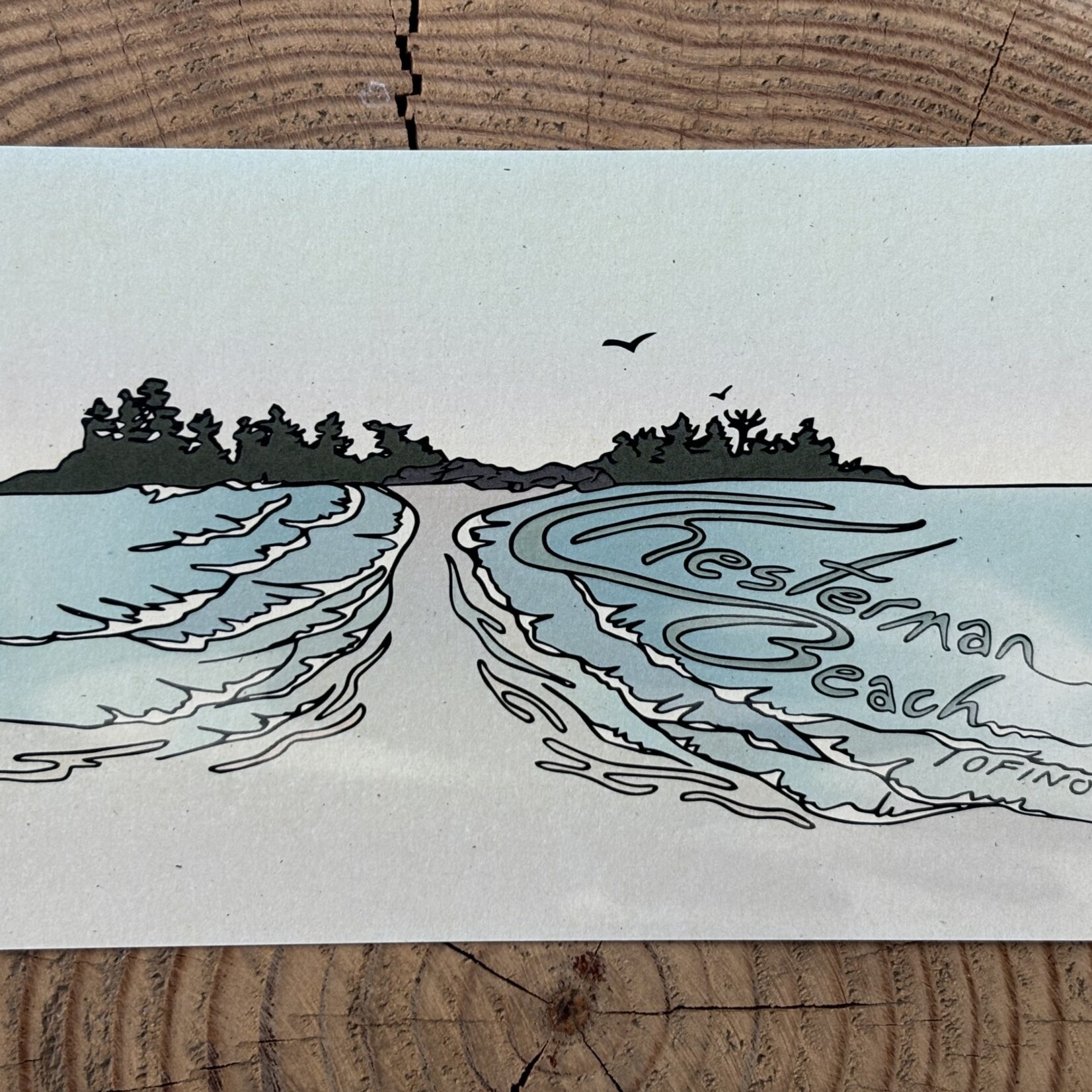 Wild Life Postcard Chesterman Beach Wild Life