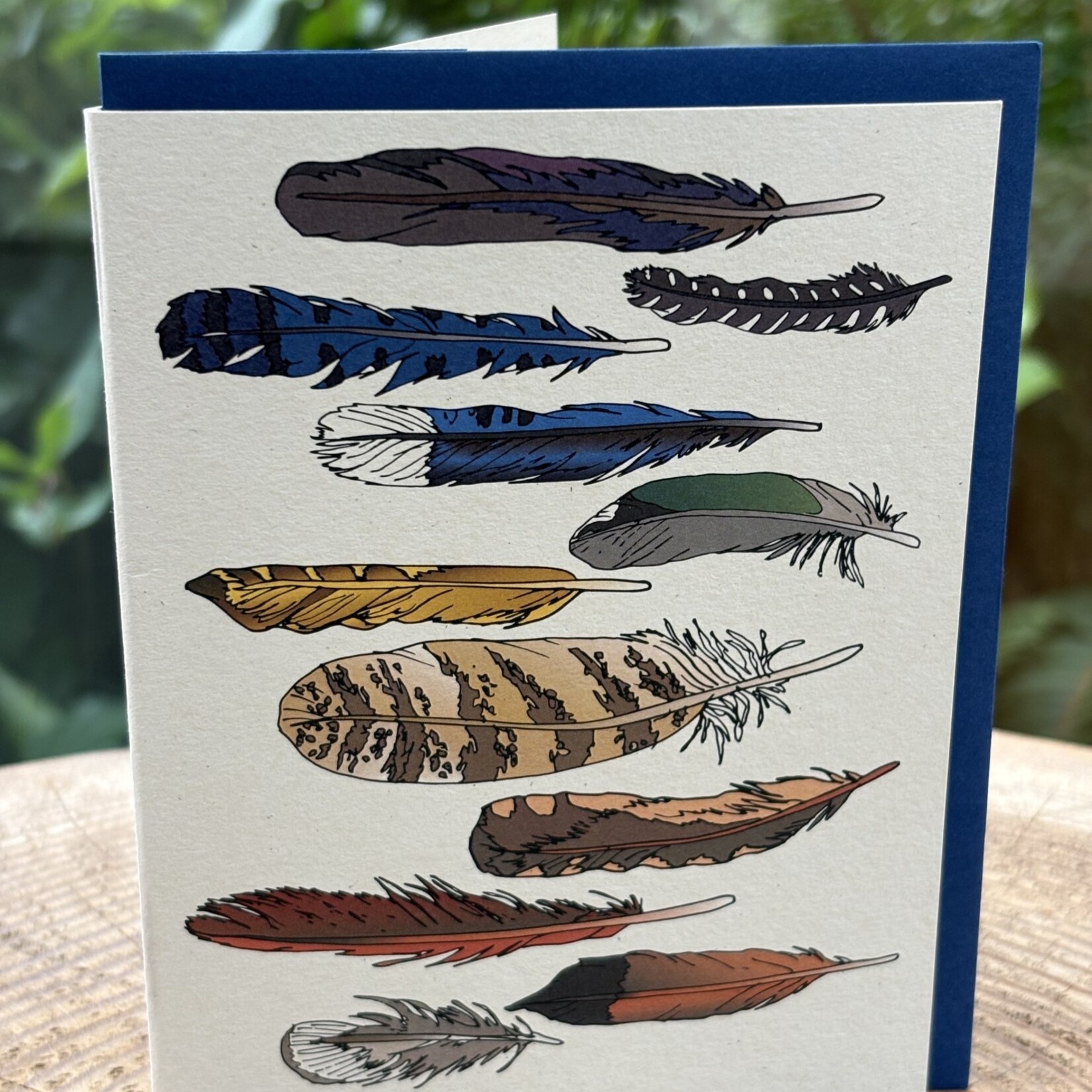 Wild Life Feathers Card