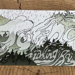 Wild Life Making it Rain Postcard