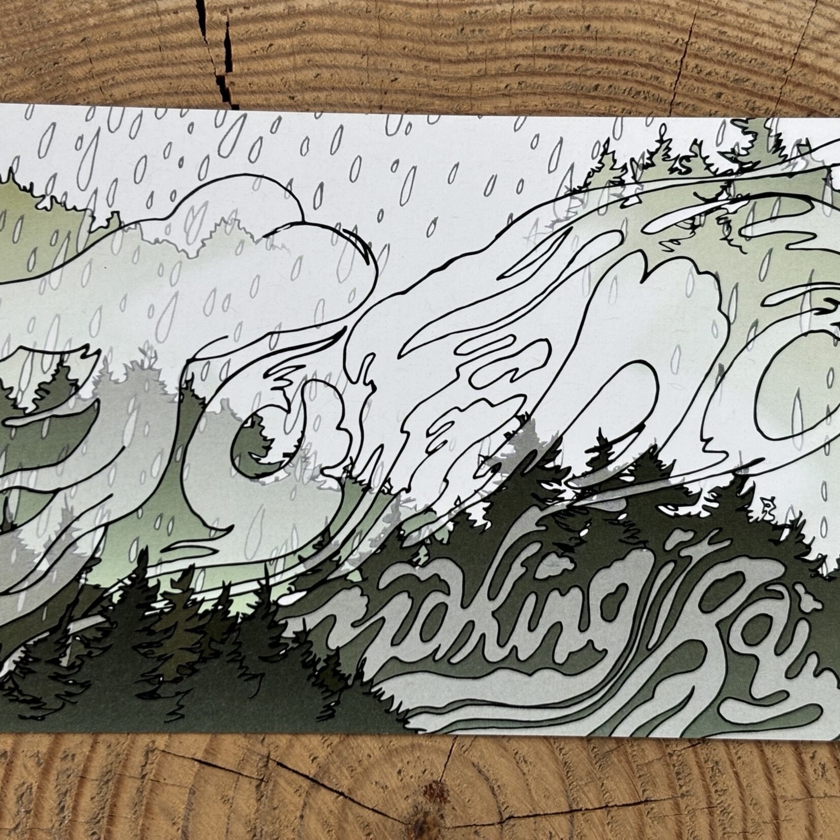 Wild Life Making it Rain Postcard