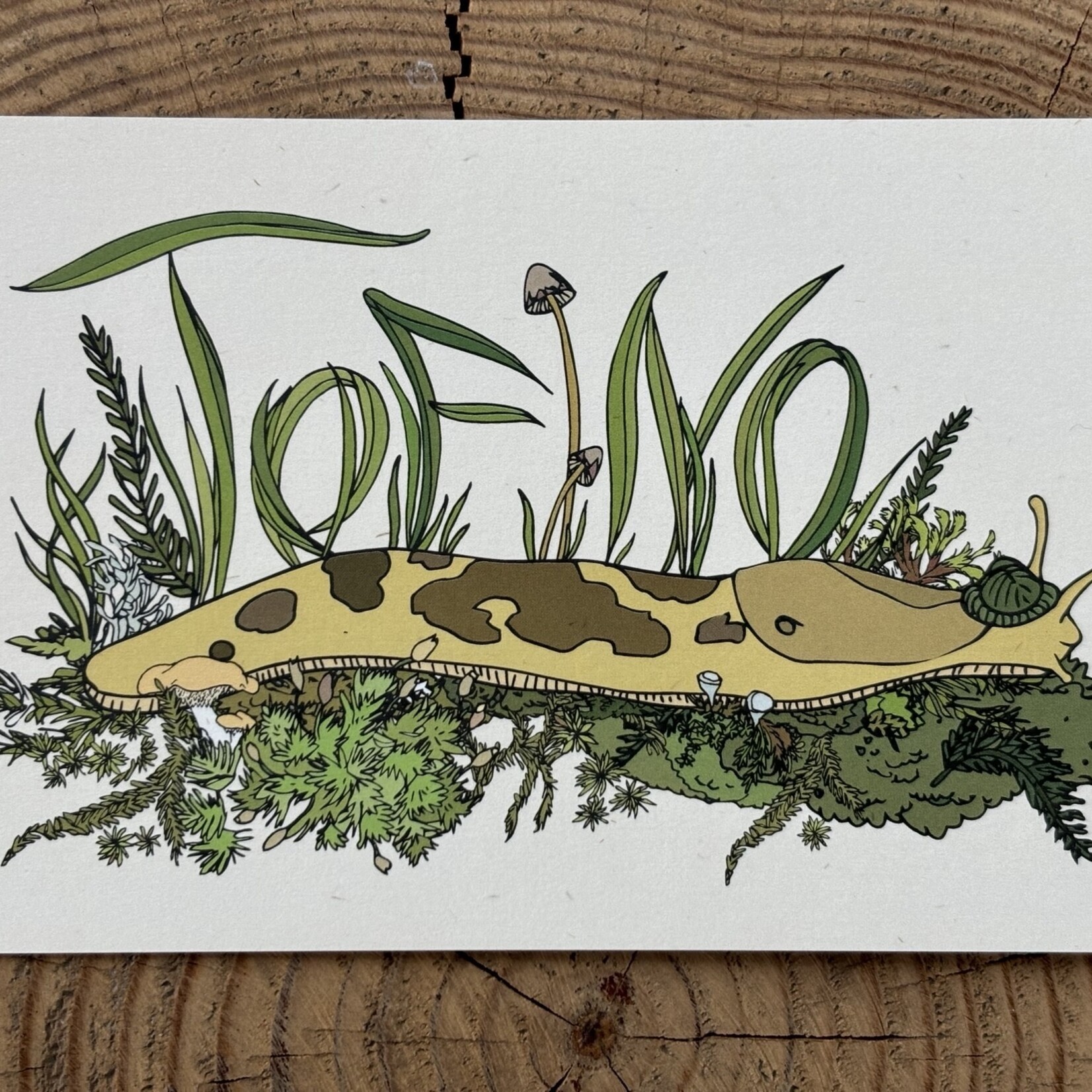 Wild Life Tofino Slugs Grass Postcard Wild Life