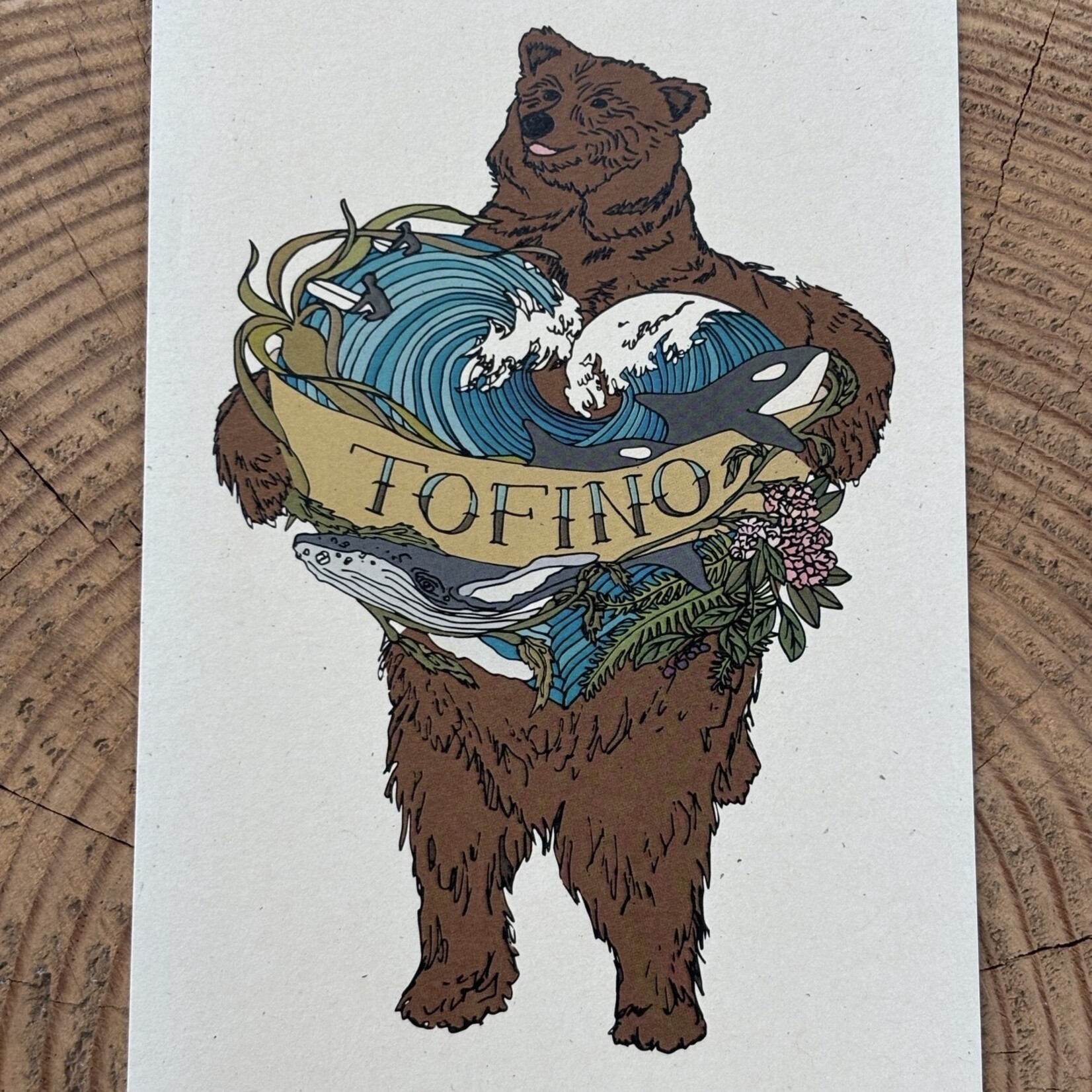Wild Life Postcard Tofino Bear Wild Life