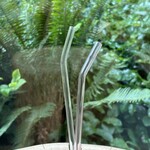 Ocean Friendly Glass Straw