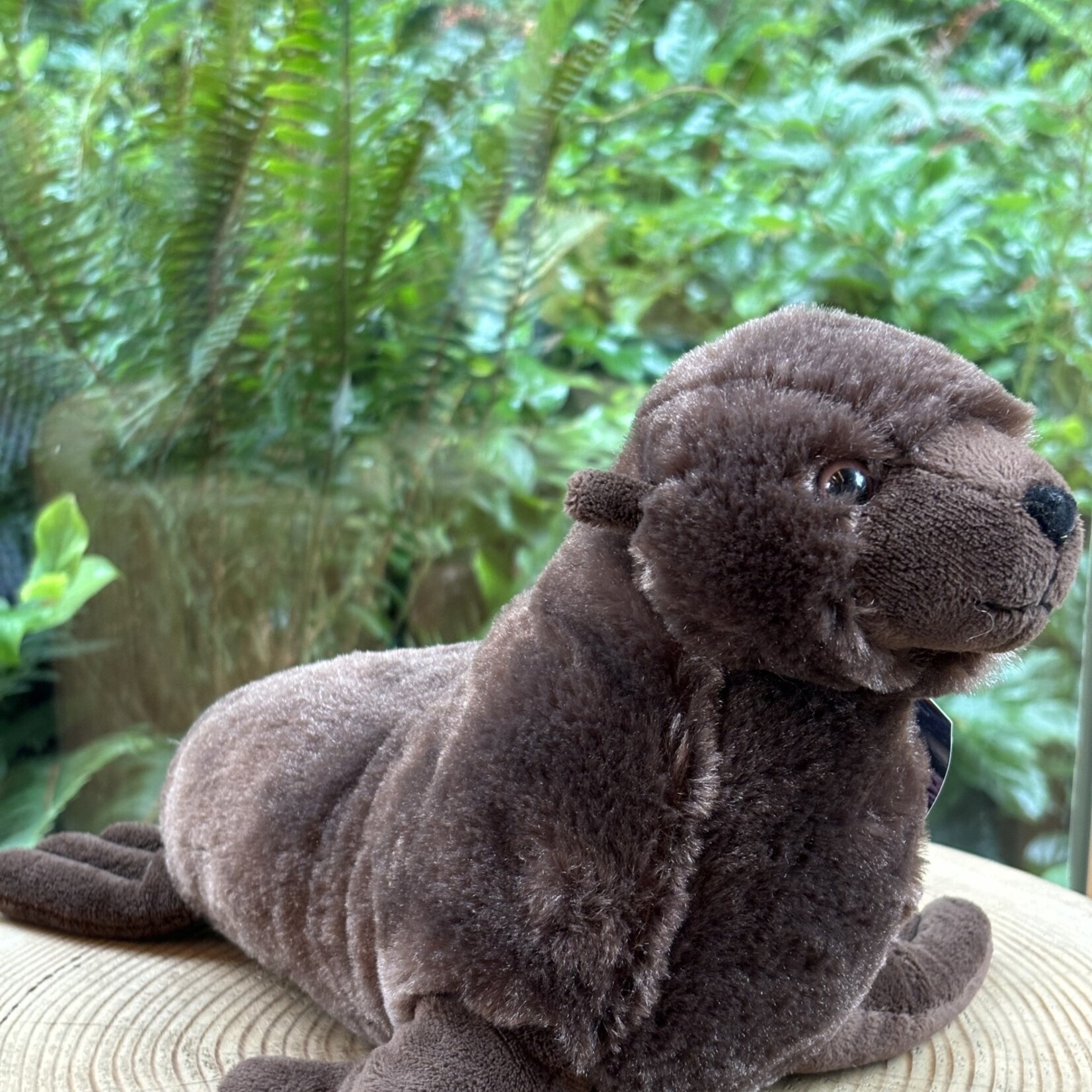 Ocean Wise Stuffy Sea Lion Brown large 9"