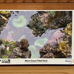 Ucluelet Rotary Club West Coast Tidal Pool Puzzle