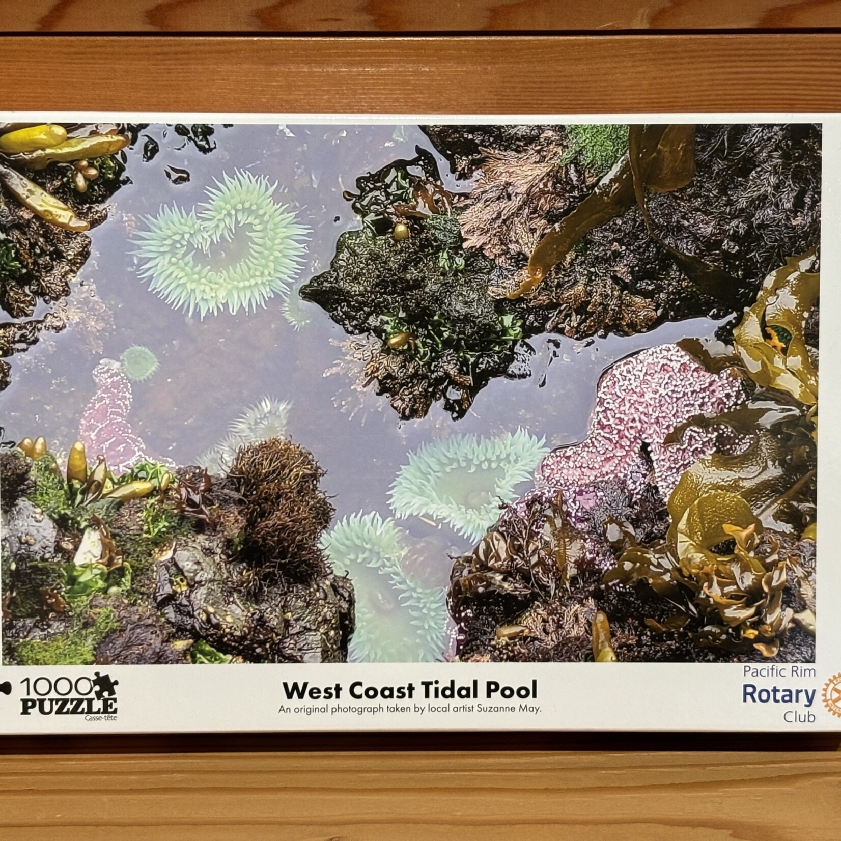 Ucluelet Rotary Club West Coast Tidal Pool Puzzle