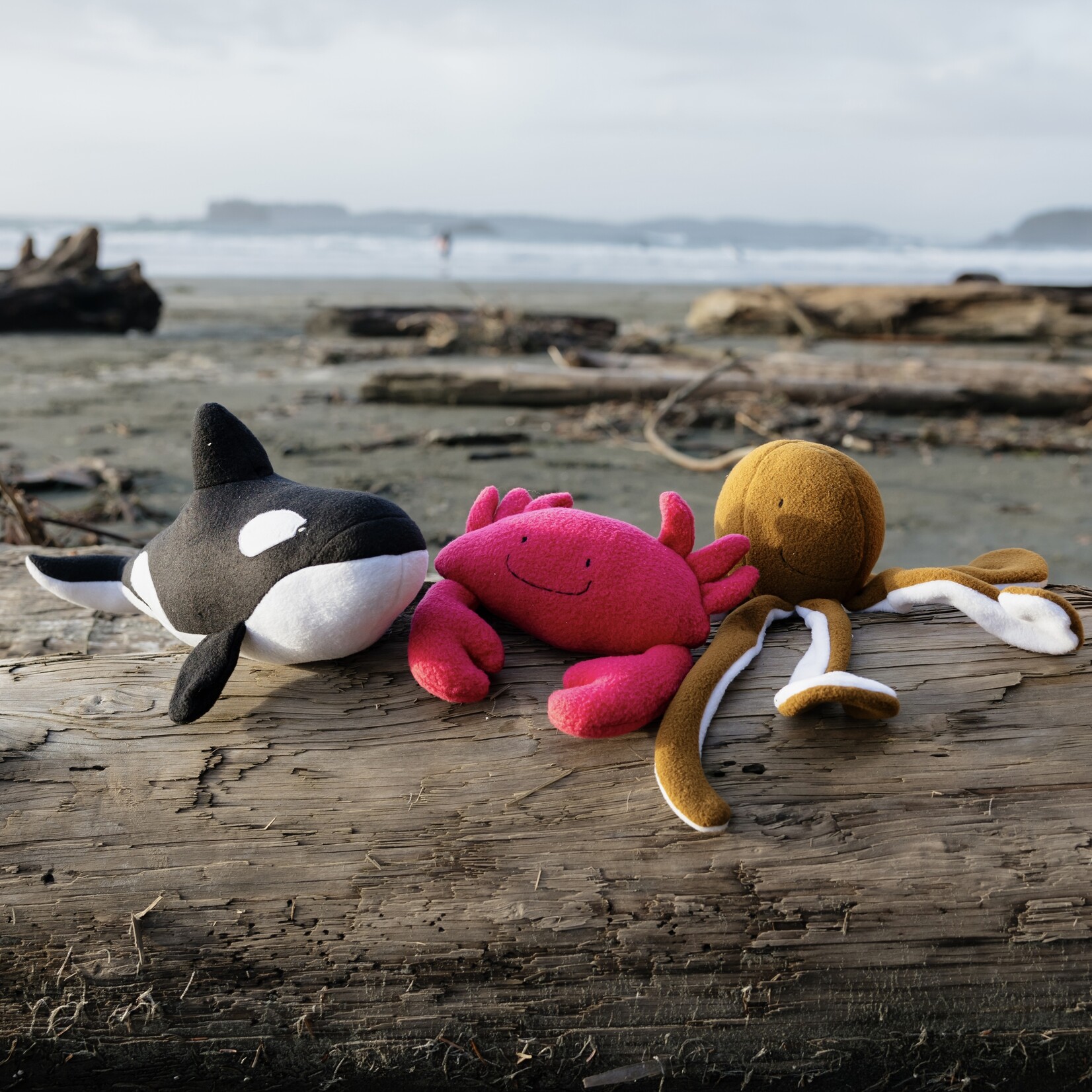 Sweet Peas kids krafts Orca hand sewn stuffy