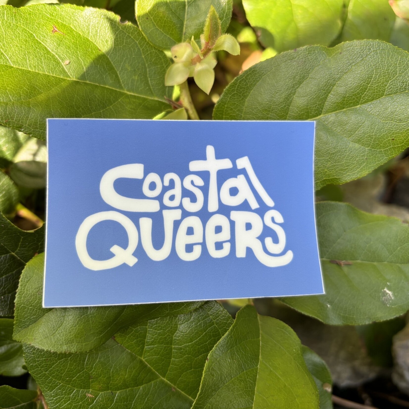 Coastal Queer Alliance Coastal Queers  blue  rectangle sticker