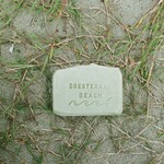 The Hobbyist Chesterman Beach Botanical Soap Raw Bar