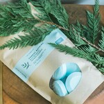 The Hobbyist Forest Bathing shower steamer