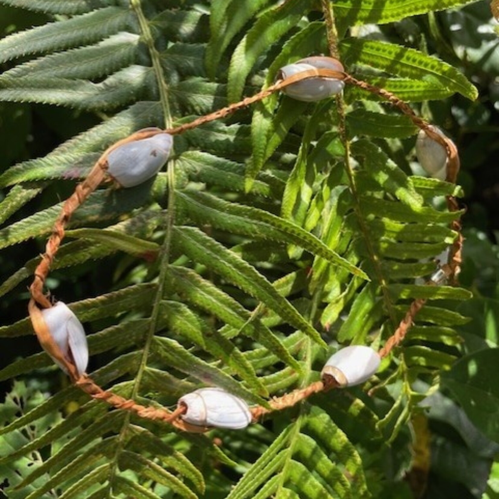 Elizabeth George Cedar necklace with Shells