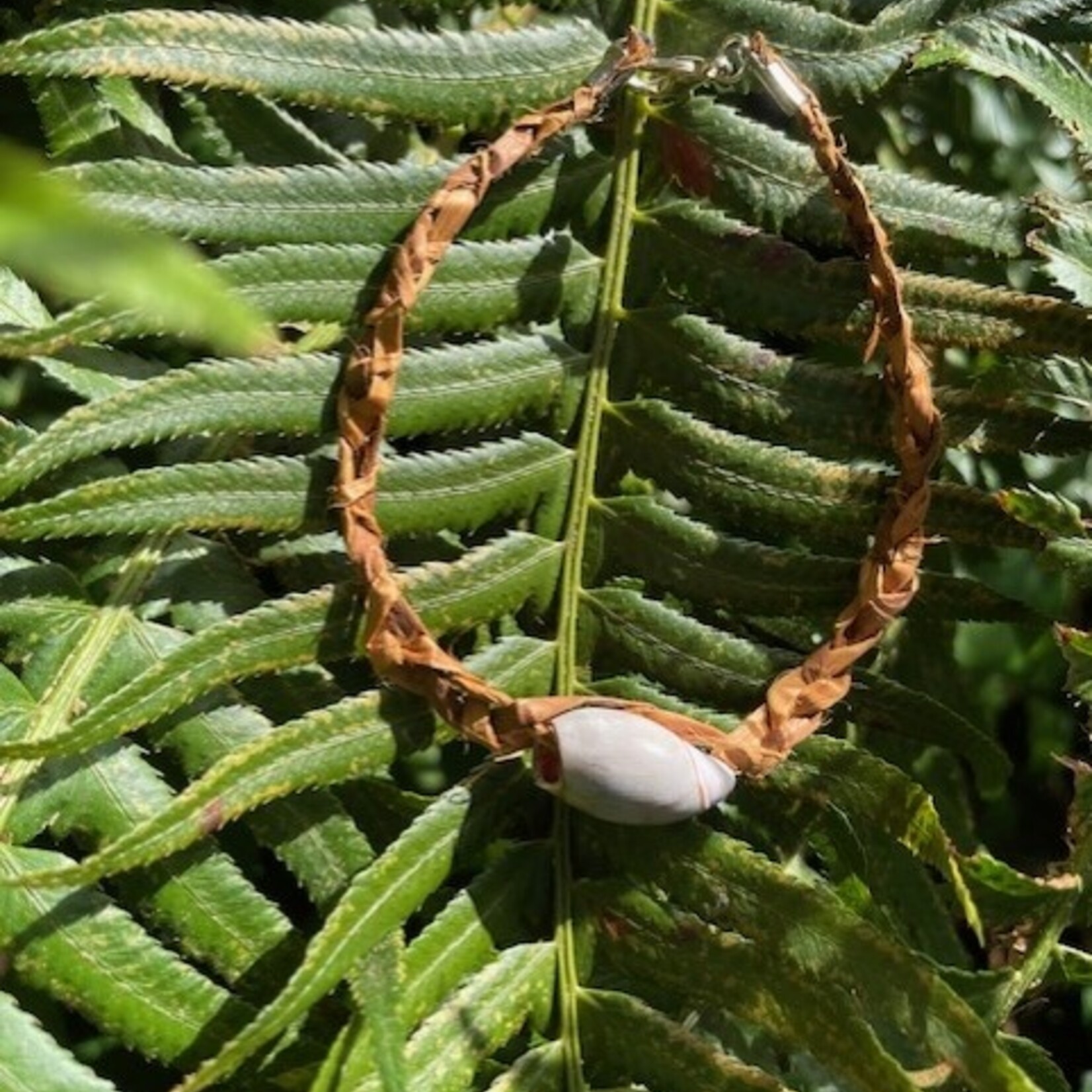 Elizabeth George Cedar bracelet with 1 shell
