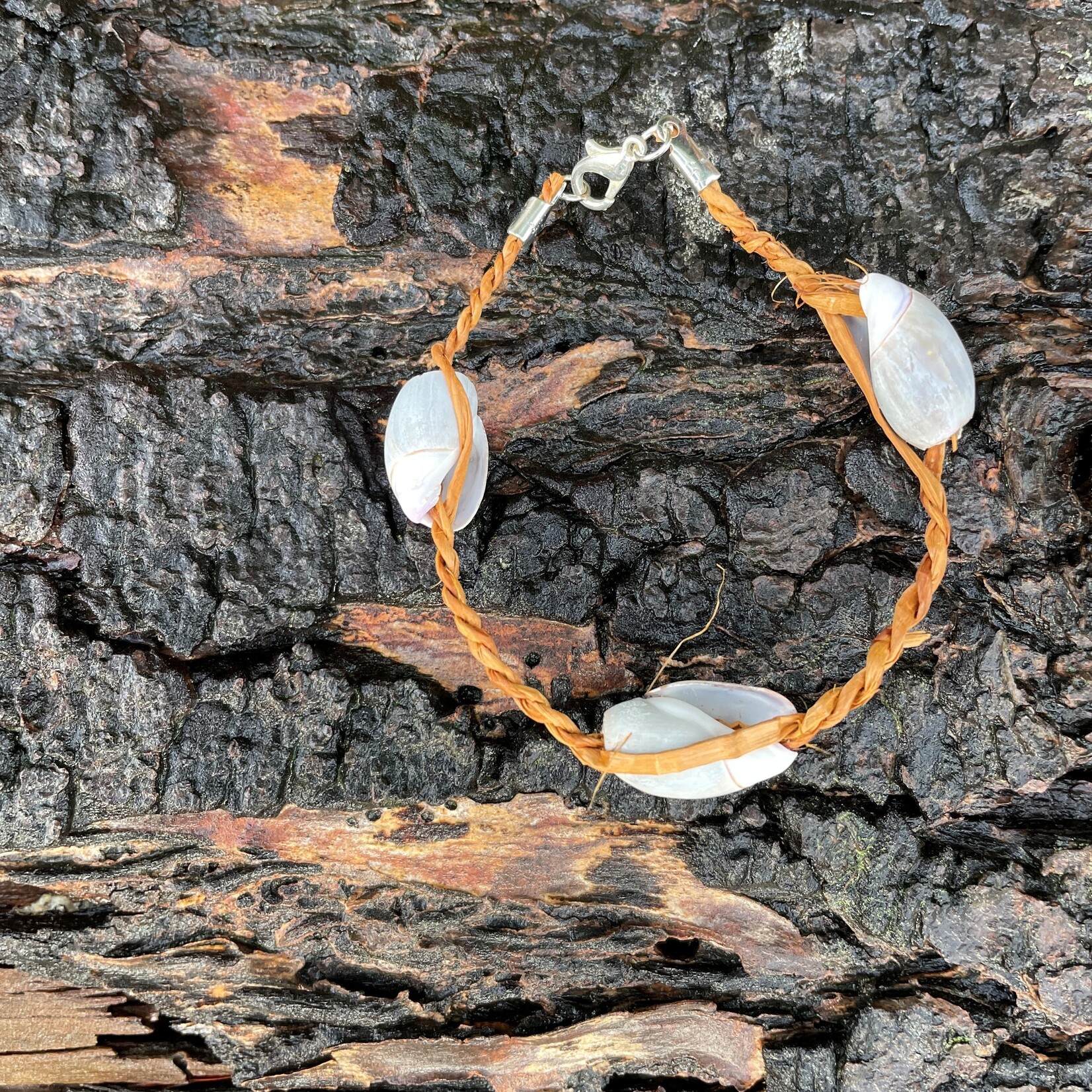 Elizabeth George Cedar bracelet with 3 Shells