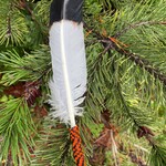 Sarah Ann Billy Sarah Ann Billy Beaded Faux Eagle Feather Orange and Black