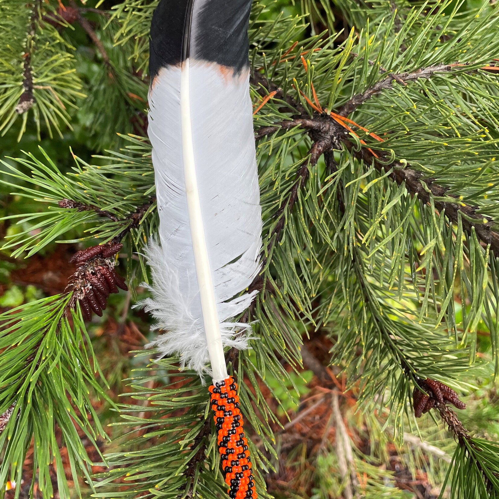 Sarah Ann Billy Sarah Ann Billy Beaded Faux Eagle Feather Orange and Black